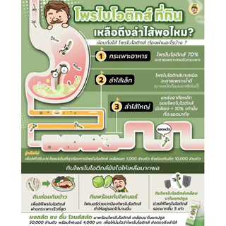 ใช้โค้ดลดได้‼️ผงสลัด ชง ดื่ม ตรา โจนส์สลัด Jones salad Veggie x Probiotics 1 กล่องมี 10 ซอง