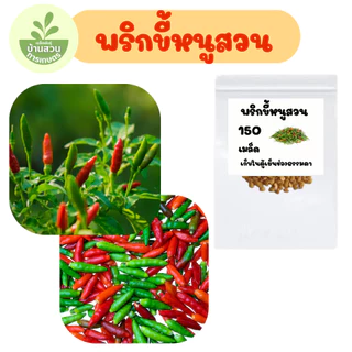 เมล็ดพันธุ์พริกขี้หนูสวน จำนวน 150 เมล็ด