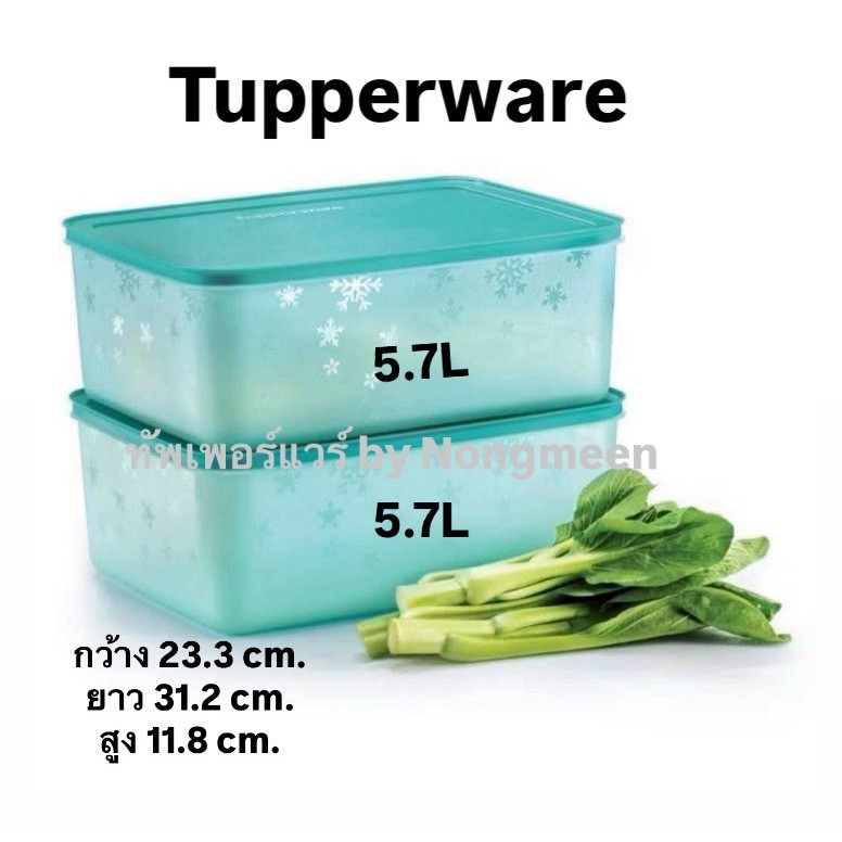 Tupperware รุ่น Chill Freez Large 5.7L (1 ใบ)(เลือกสีได้) – โปรปัง