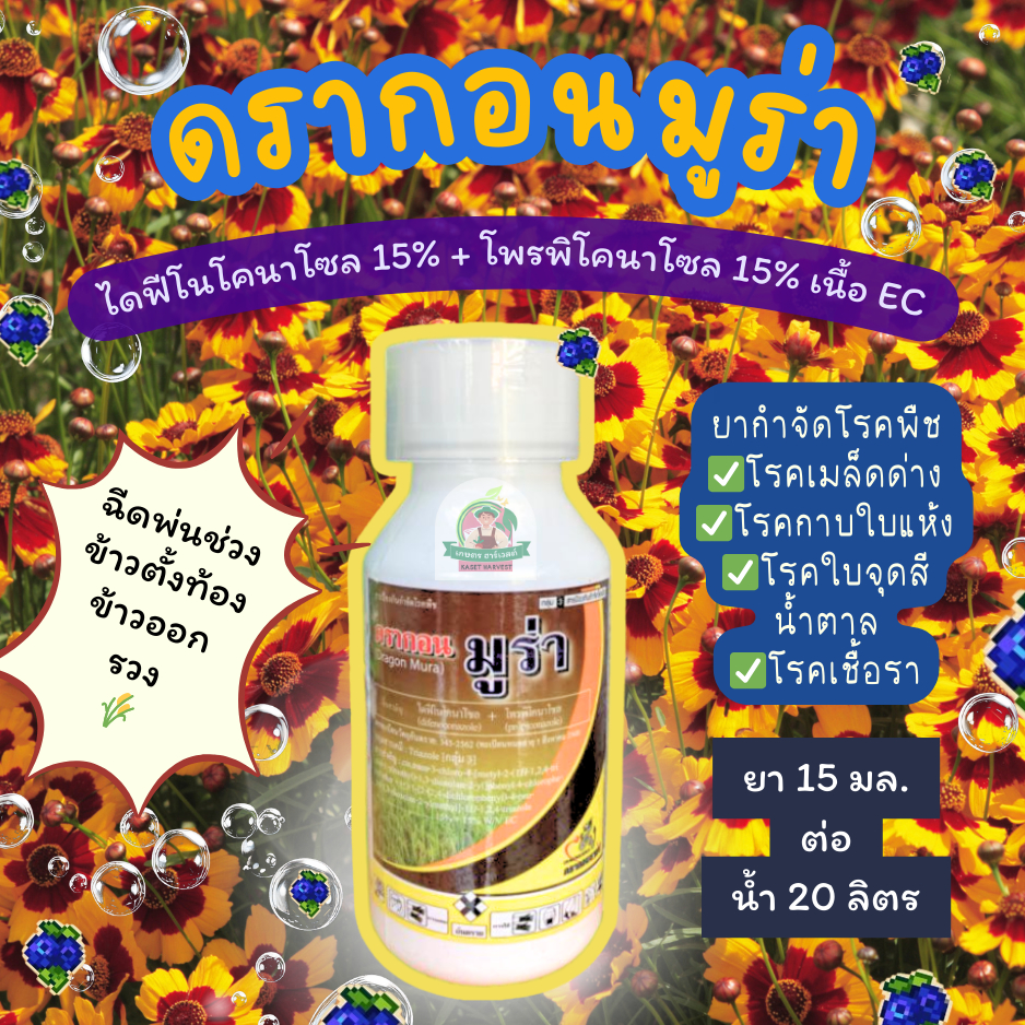 ดรากอนมูร่า 500 มล. ดรากอนซายน์ ยาโรคพืชกาบใบแห้ง ใบจุดน้ำตาล โรคแส้ดำ ในอ้อย นาข้าว