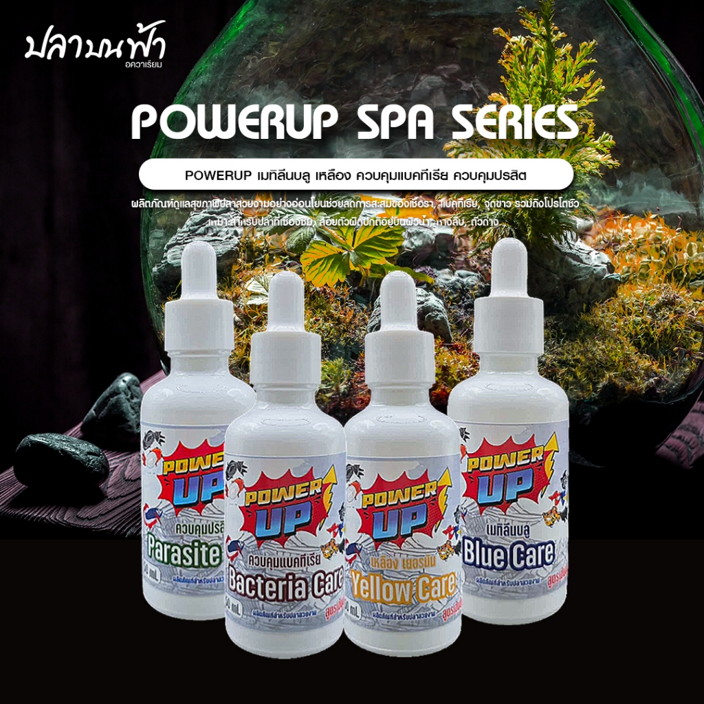 PowerUp เมทิลีนบลู เหลือง ควบคุมแบคทีเรีย ควบคุมปรสิต สูตรเข้มข้น ขนาด 50ml. และ100ml. ครบสูตร 4 จตุรเทพ สำหรับปลาสวยงาม
