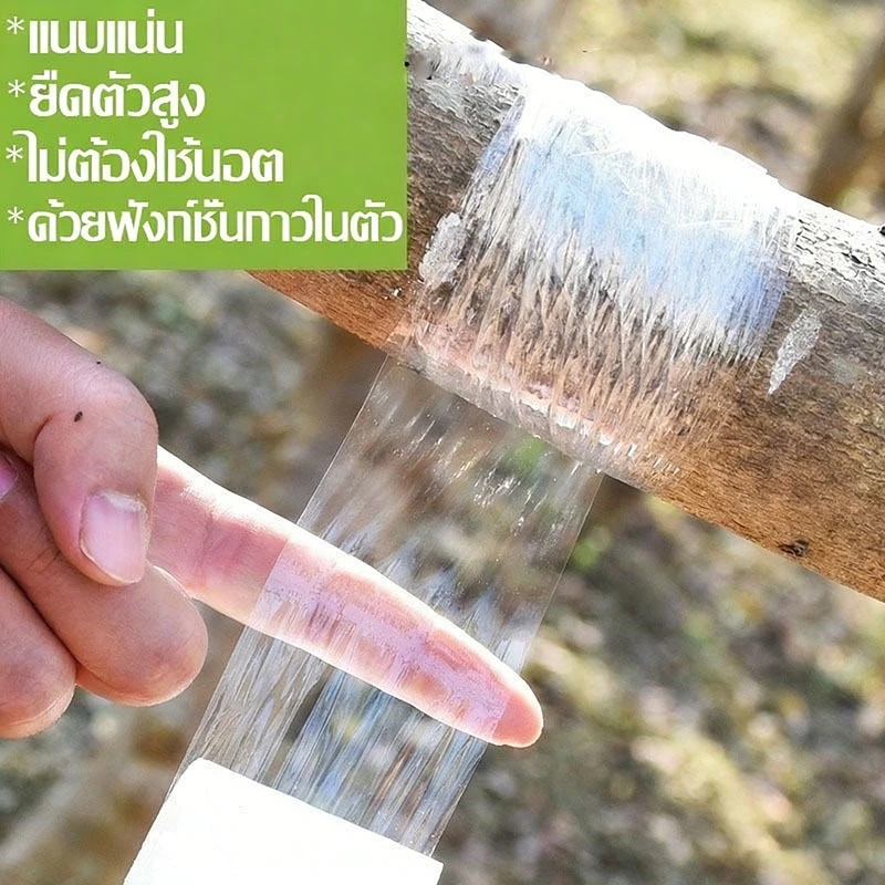 เทปพันกิ่งไม้ 3cm x 200m อุปกรณ์ตอนกิ่ง ทำสวน thumbnail 4