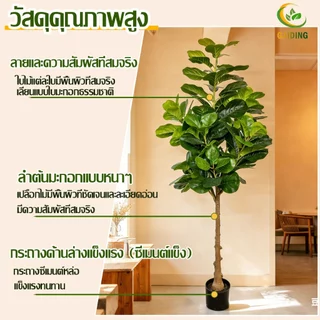 🎍คุ้มค่าที่สุด🎍ต้นไม้ปลอม ต้นไม้ปลอมใหญ่ สูง120/150ซม ความจำลอง 99% สไตล์นอร์ดิก