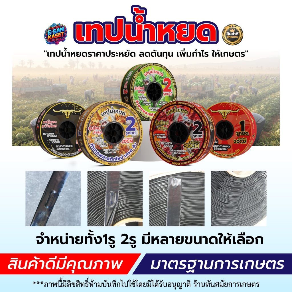 เทปน้ำหยด ความหนา 0.16 มม. จำนวน (2 รู) / (1 รู) ยาว 1000 เมตรเต็ม ระบบน้ำ ใช้ได้ทุกฤดูกาล