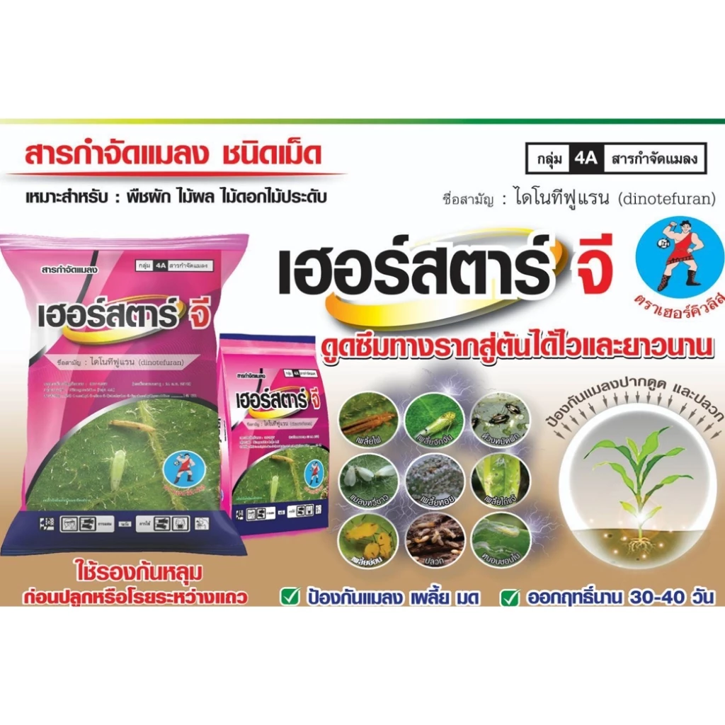 ยาหว่าน เฮอร์สตาร์จี ขนาด 1 กิโล ไดโนทีฟูแรน 1%GR ยารองก้นหลุม ป้องกันแมลง เพลี้ย กำจัดแมลงในดิน