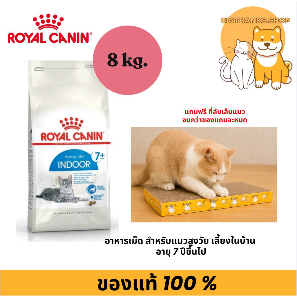 [ รับฟรี ที่ลับเล็บแมว 7+ 8 กก.] Royal canin indoor cat 7+ Exp.04/2027 อาหารเม็ด แมวสูงวัย เลี้ยงในบ้านอายุ 7 ปีขึ้นไป