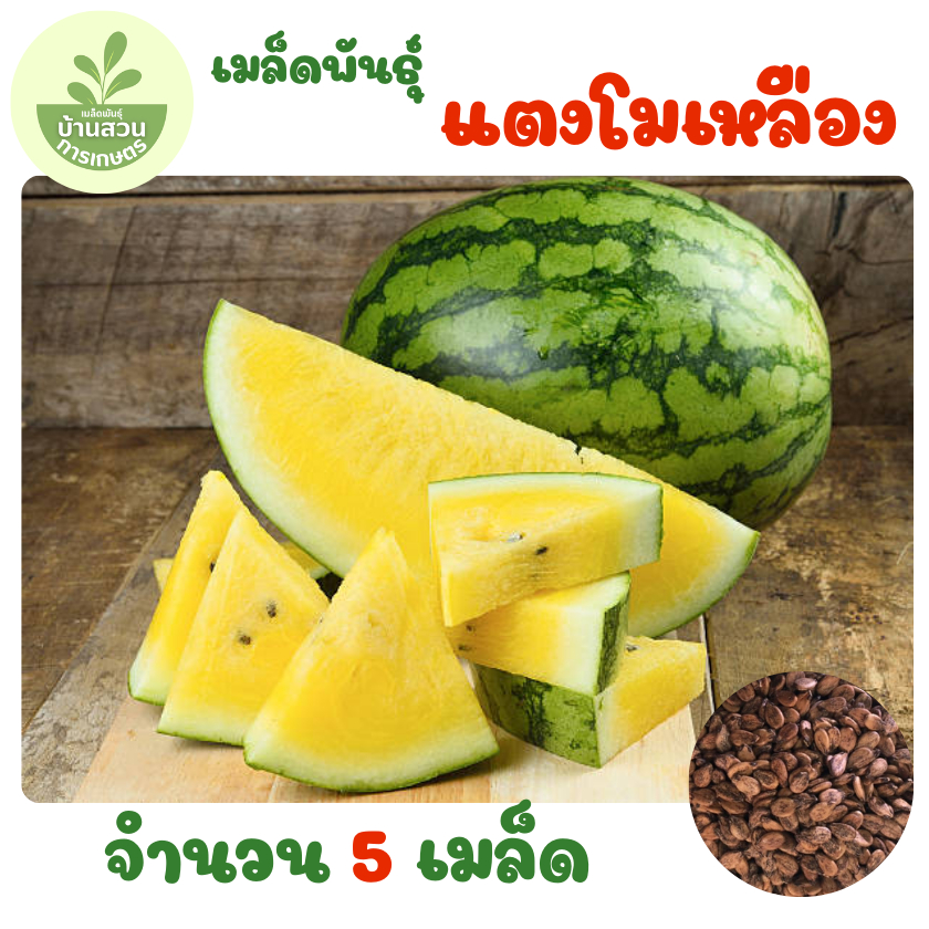 เมล็ดพันธุ์แตงโมเหลือง จำนวน 5 เมล็ด