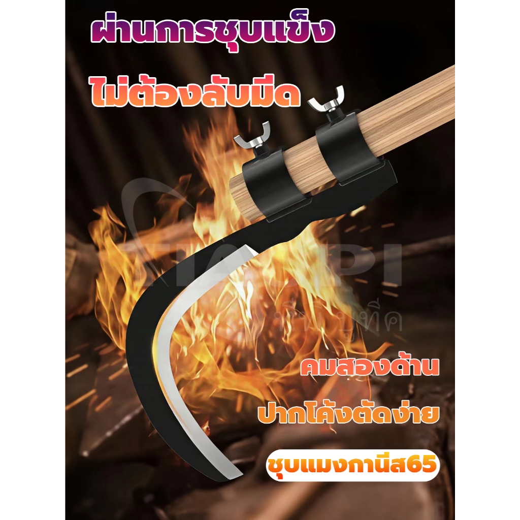 มีดขอเกี่ยวผลไม้ เคียวเกี่ยวผลไม้บนที่สูง ไม่ต้องปีนป่าย ให้เสี่ยงอันตราย เหล็กแมงกานีสขนาดใหญ่หนาคม ราคา ถูกที่สุด ดีลบีเคเค แกลเลอรีภาพที่ 3