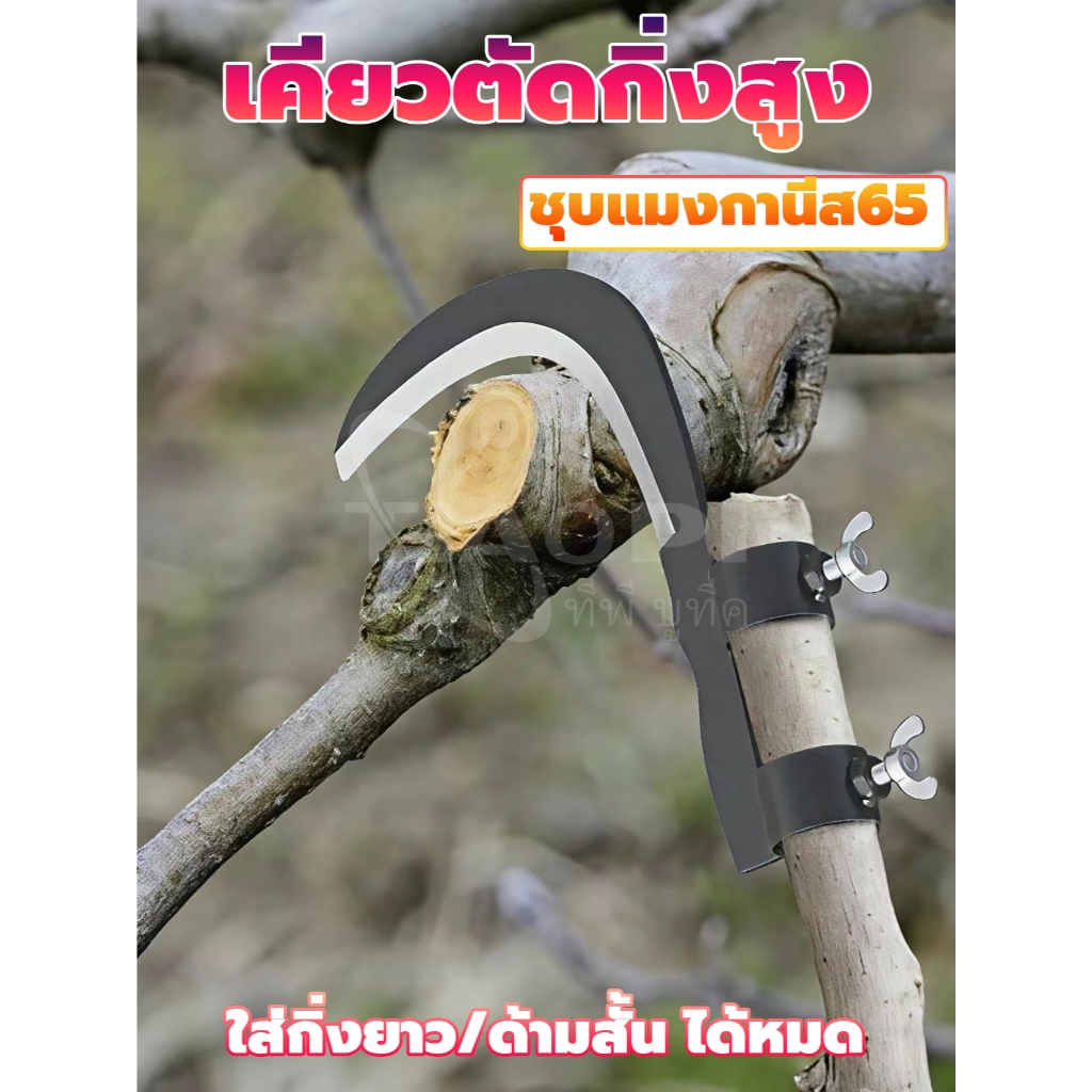 มีดขอเกี่ยวผลไม้ เคียวเกี่ยวผลไม้บนที่สูง ไม่ต้องปีนป่าย ให้เสี่ยงอันตราย เหล็กแมงกานีสขนาดใหญ่หนาคม ราคา ถูกที่สุด ดีลบีเคเค แกลเลอรีภาพที่ 7