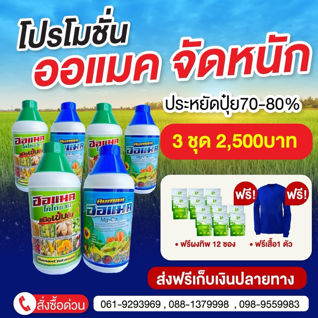 ออแมค 3 ชุด แถมผงทิพย์ 12ซอง