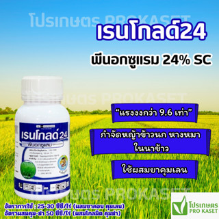 เรนโกลด์24 พีนอกซูแลม24% แรงกว่า 9.6เท่า กำจัดหญ้าข้าวนก หาง…