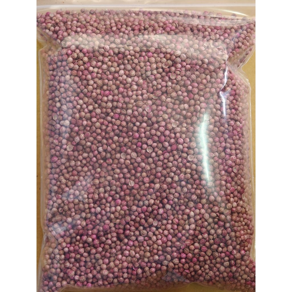 เมล็ดผักชี 25,000เมล็ด มีแบบปลูกและแบบกินได้