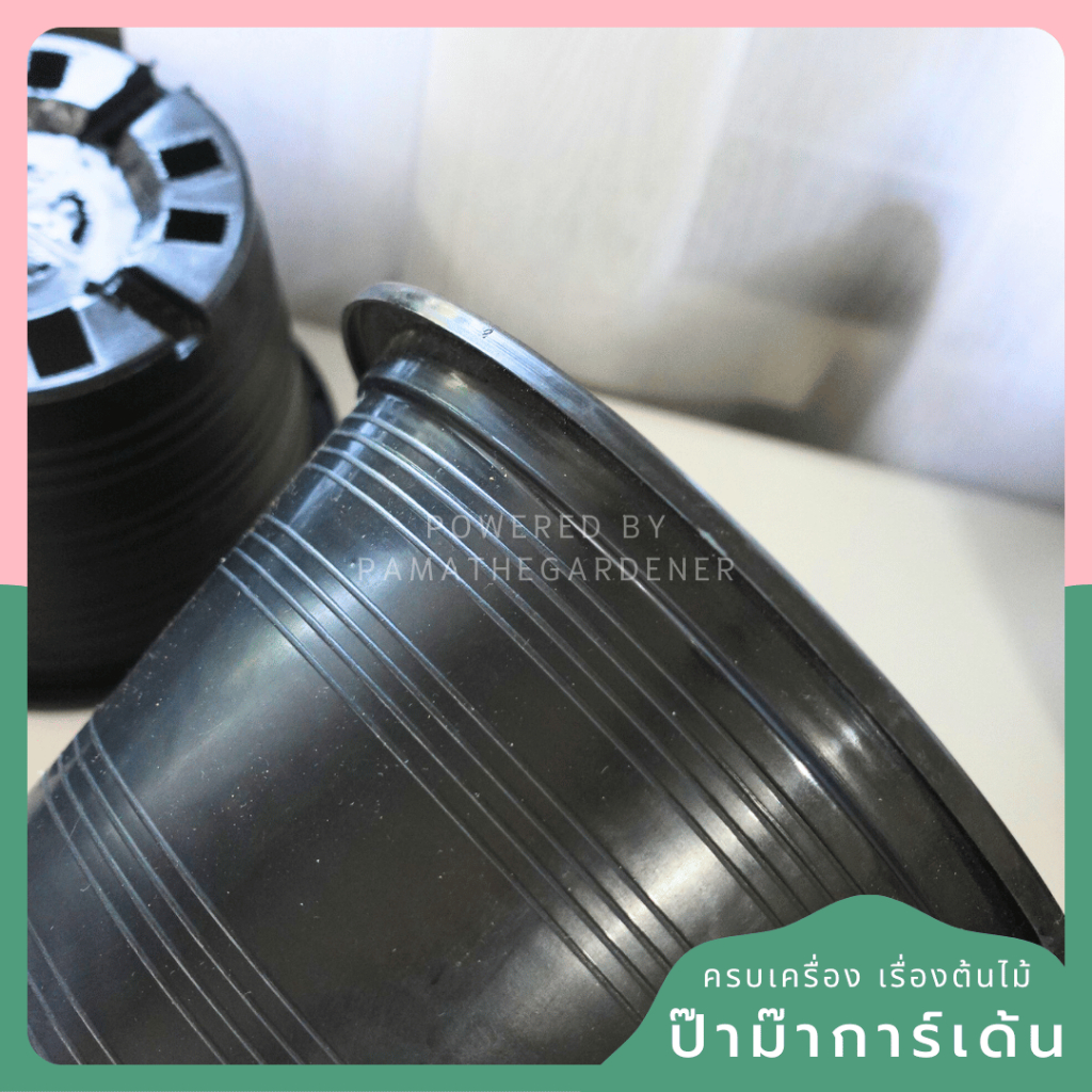 มุมมอง 5