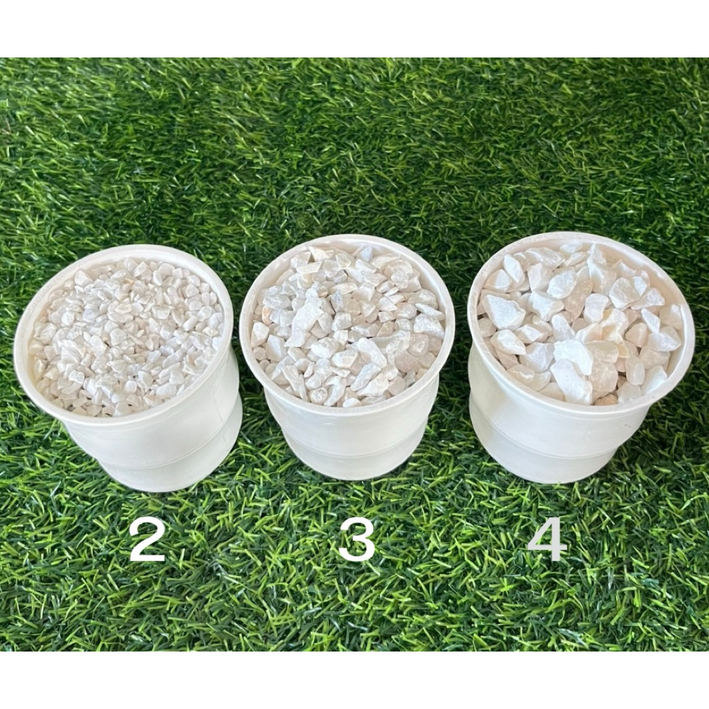 หินเกล็ดขาวคัด5กิโล 10กิโล  เบอร์1-5 แต่งสวน โรยกระถาง ตู้ปลา รบกวนลูกค้าเทียบขนาดให้ดีก่อนสั่งซื้อ ราคา ถูกที่สุด ดีลบีเคเค แกลเลอรีภาพที่ 7