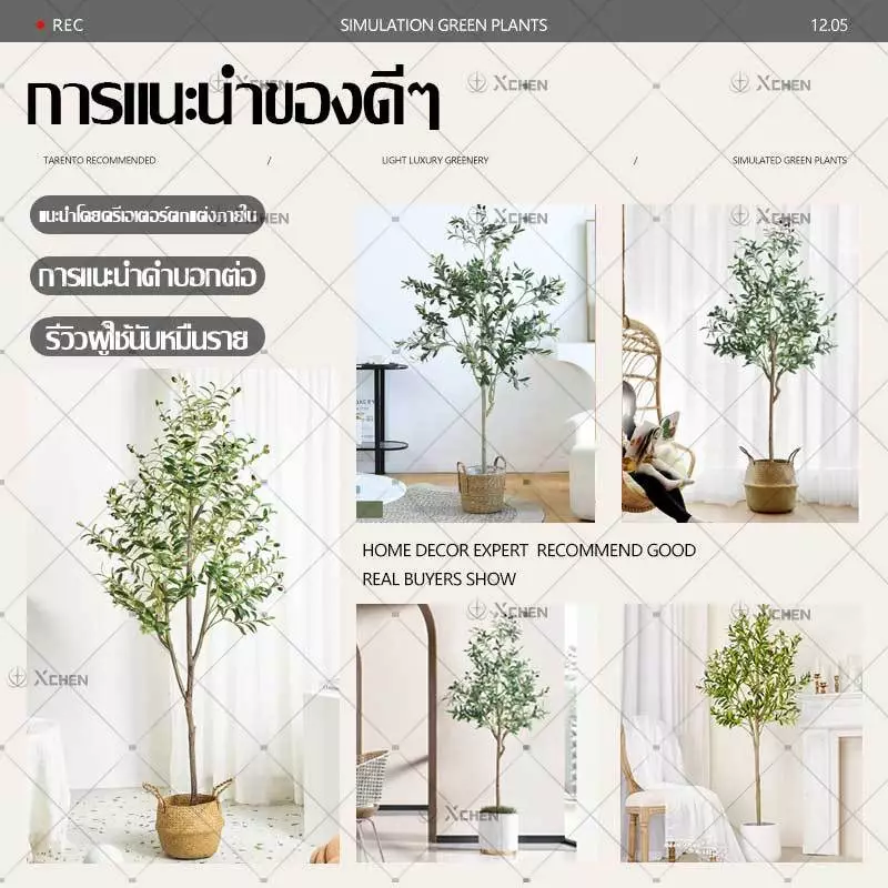 ต้นโอลีฟปลอม ต้นมะกอกประดิษฐ์ ลำต้นเหมือนจริง ตกแต่งบ้าน thumbnail 9