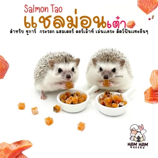 🧁ขนม แฮมสเตอร์ ชูการ์ กระรอก กระต่าย เม่น ดอร์เมาส์ สัตว์ฟันเเทะอื่นๆ