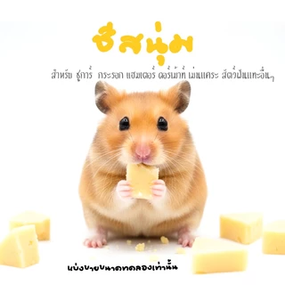 อาหารแฮมเตอร์ ขนม ชูการ์ กะรอก ดอร์เม้าท์ ใจเเอ้นท์ โรโบ เม่น สัตว์ฟันเเทะอื่นๆๆ (กะปุกทดลอง)