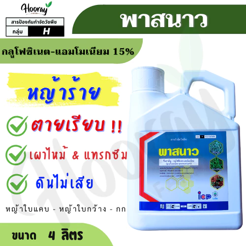พาสนาว 4 ลิตร ( กลูโฟซิเนต 15% ) (ไอซีพี ลัดดา) กำจัดวัชพืช ฆ่าหญ้า หัวคันนา ร่องมัน ปรือ ธูป