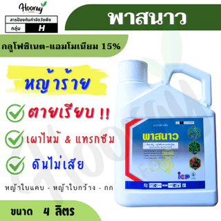 พาสนาว 4 ลิตร ( กลูโฟซิเนต 15% ) (ไอซีพี ลัดดา) กำจัดวัชพืช ฆ่าหญ้า หัวคันนา ร่องมัน ปรือ ธูป