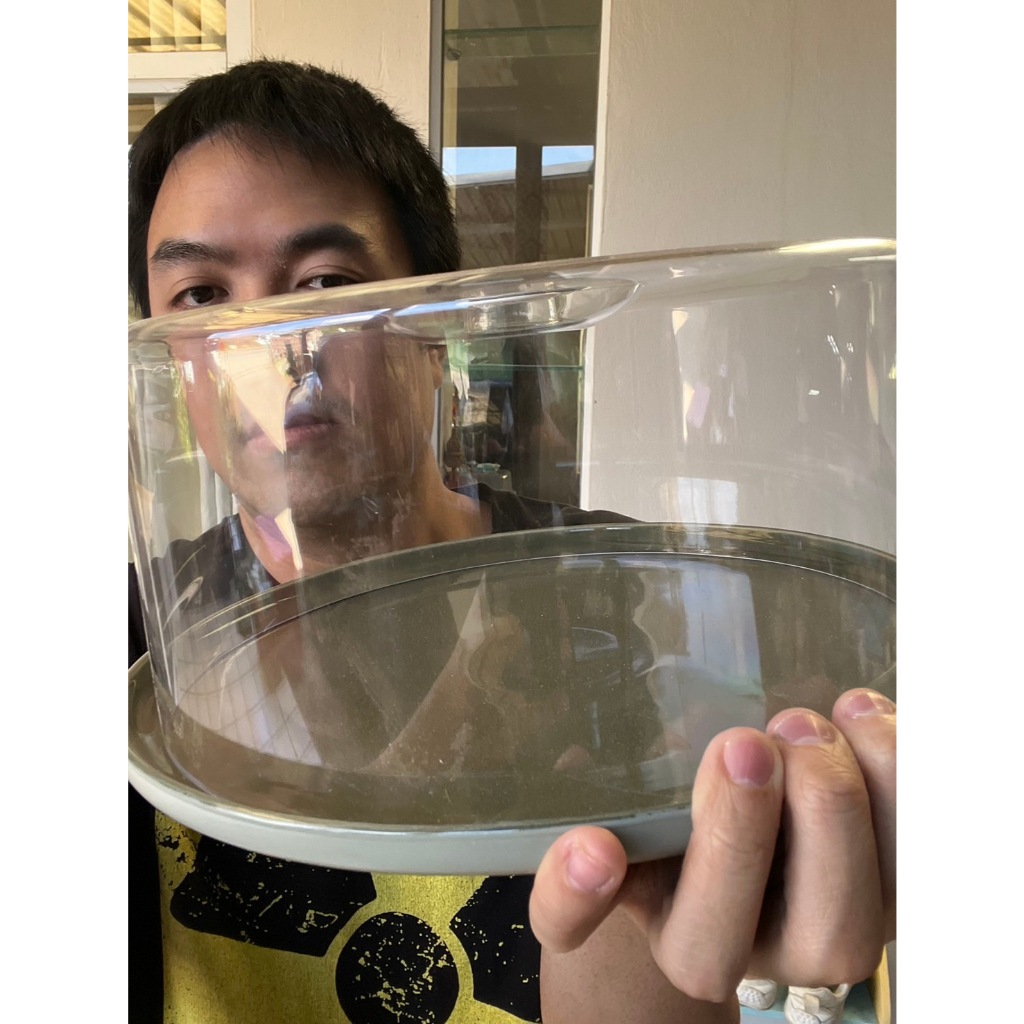 กล่องเค้กจานเซรามิก 4 ปอนด์ จานเซรามิกขนาด12นิ้ว จานสีเขียวเข้ม cake tray ceramic กว้าง30.5x14.7ข้าง