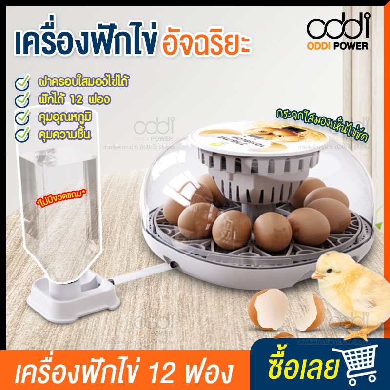 เครื่องฟักไข่12ฟอง เครื่องฟักไข่ควบคุมอุณหภูมิอัตโนมัติ ตู้อบไข่