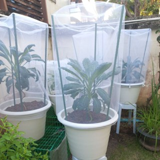 มุ้งคลุมกระถางกลมขนาด 17 นิ้ว ป้องกันศัตรูพืช