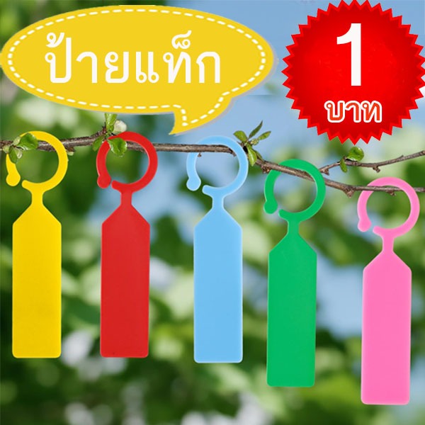ป้ายแท็กต้นไม้🎯ถูกที่สุด 2 บาท!!🎯ป้ายชื่อต้นไม้แบบแขวน🌿ใช้ง่าย🌿สะดวก🌿ทนน้ำ🎈ใช้ซ้ำได้🌱ใช้ได้นาน