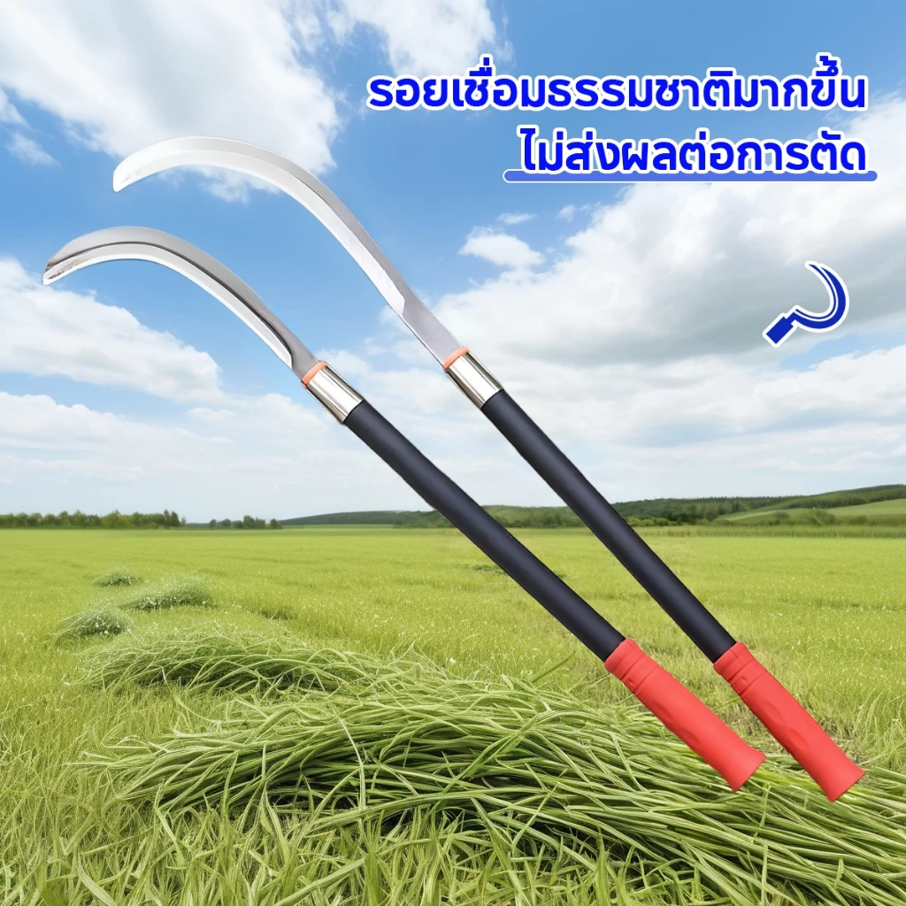 SK5 คมกริบ เหล็กแมงกานิส มีดพร้า มีดขอชัก มีดขอชักกล้วย ตัดแต่งใบกล้วย มีดตัดกล้วย มีดทำสวน มีดตัดแต่งกิ่งไม้ ด้ามยาว thumbnail 6