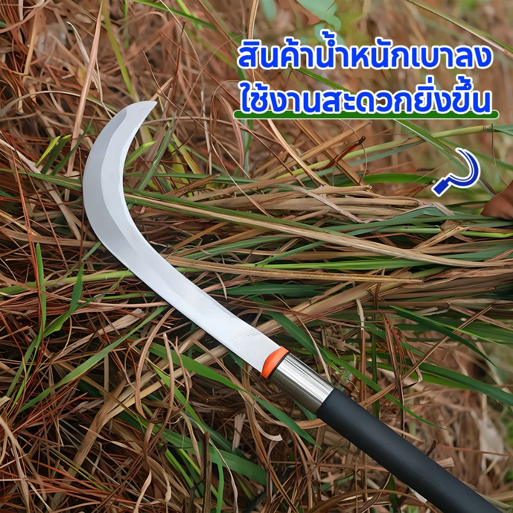SK5 คมกริบ เหล็กแมงกานิส มีดพร้า มีดขอชัก มีดขอชักกล้วย ตัดแต่งใบกล้วย มีดตัดกล้วย มีดทำสวน มีดตัดแต่งกิ่งไม้ ด้ามยาว thumbnail 8