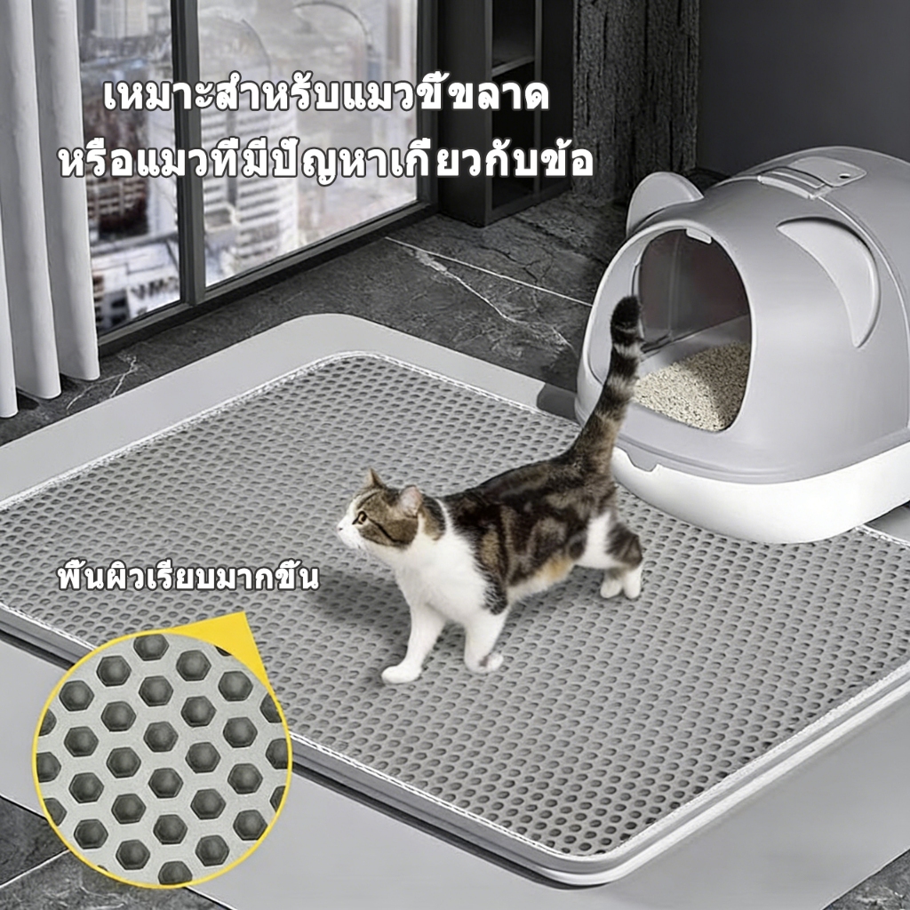 รูปภาพ 2