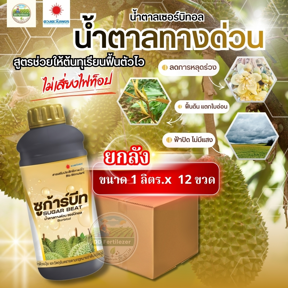 (ยกลัง1L*12) ซูก้าร์บีท น้ำตาลทางด่วนสำหรับทุเรียน ช่วยบำรุงต้นใบ บำรุงผลเพิ่มความหวาน #ดวงตะวันเพชร