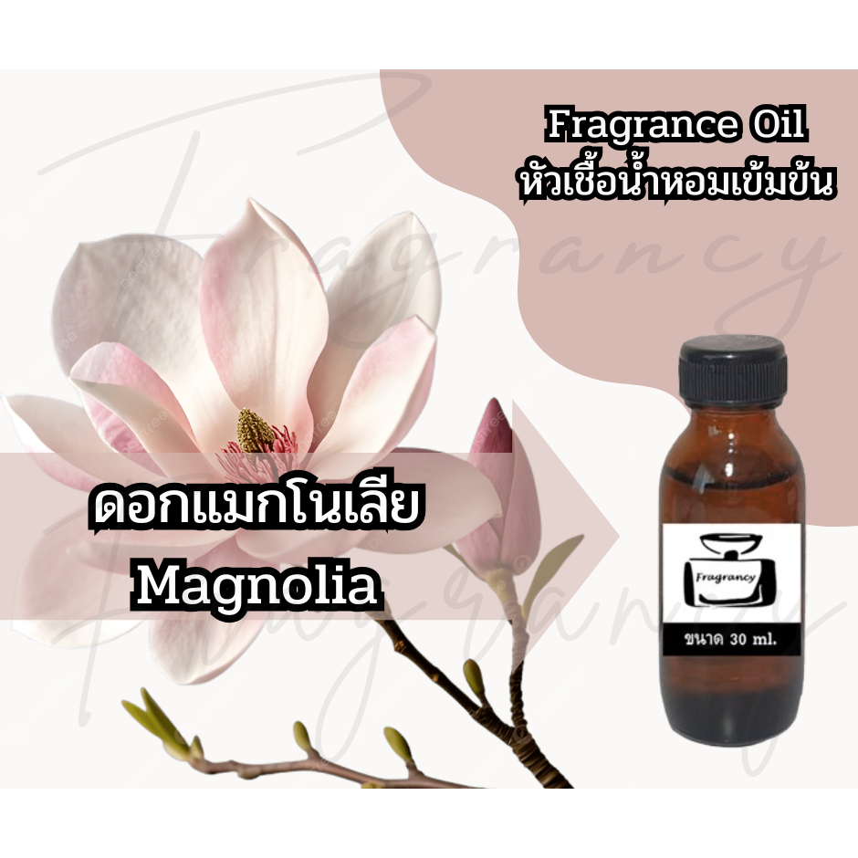 หัวน้ำหอมเข้มข้น 100% กลิ่น ดอกแมกโนเลีย Magnolia (Fragrance Oil - No Alcohol)