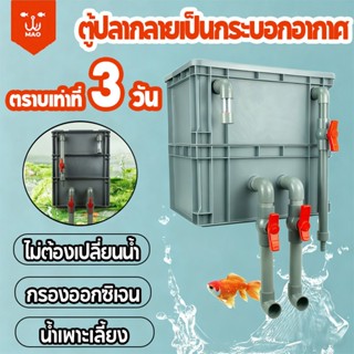 กรองตู้ปลากล่อง กรองตู้ปลา เพิ่มออกซิเจน ไม่ต้องเปลี่ยนน้ำ ท…