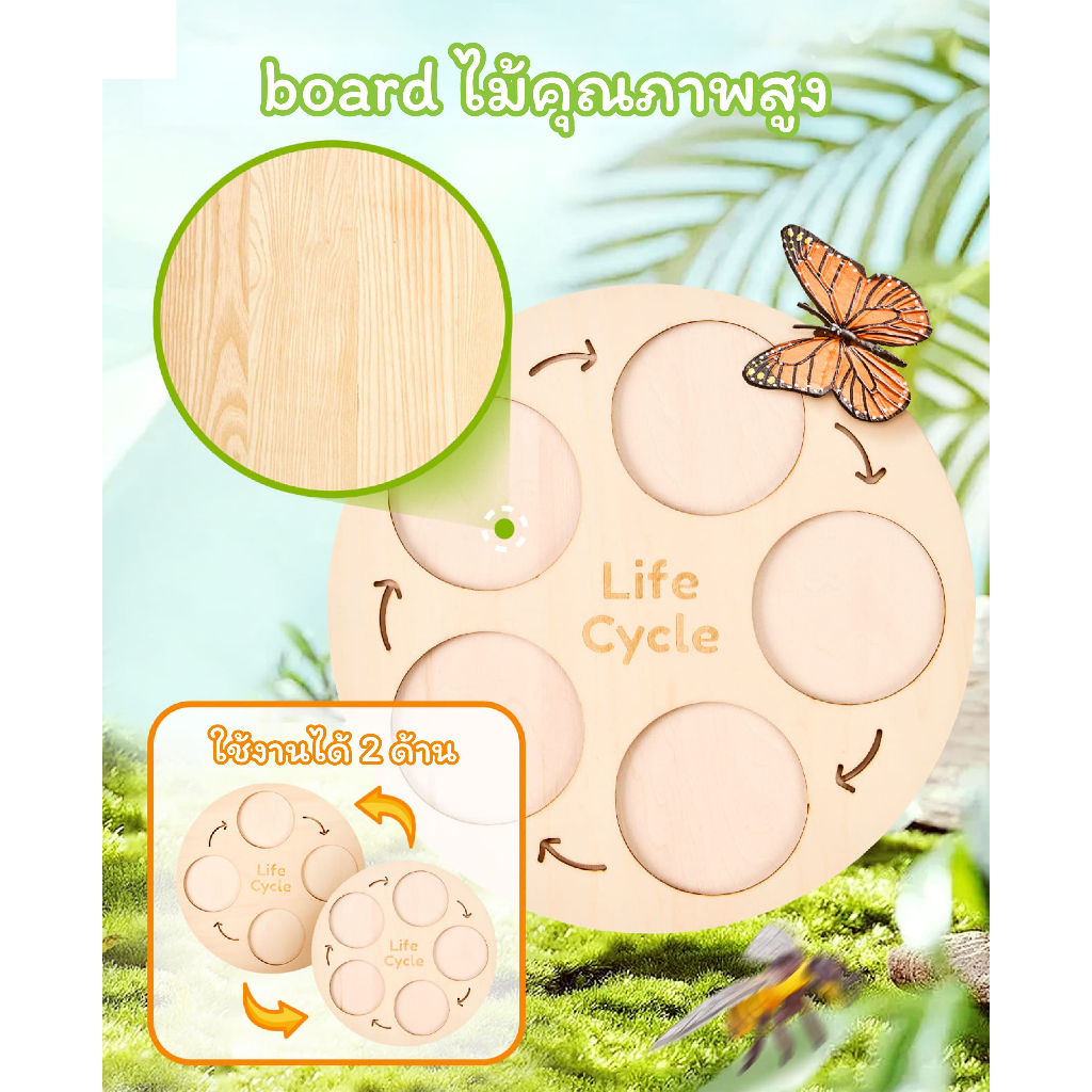 JoyCat ชุดเรียนรู้วงจรชีวิตสัตว์ 4in1 (Life Cycle) ของเล่นเสริมพัฒนาการเด็ก 3-8 ปี วัสดุเกรดพรีเมียม ปลอดภัย มาตรฐานสากล - รูปที่ 3