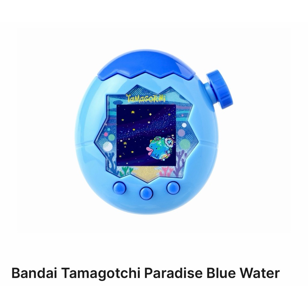 รูปภาพ 6