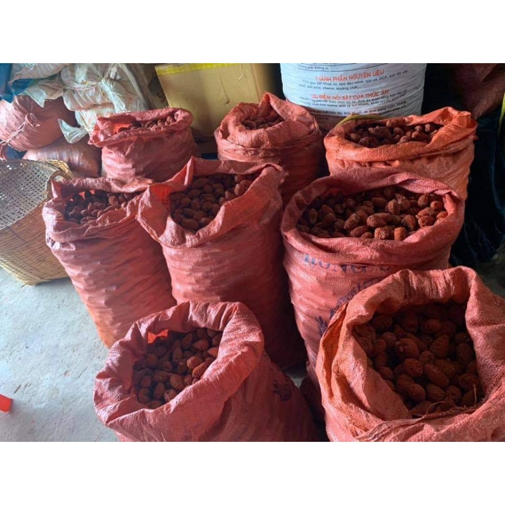 รูปภาพ 5