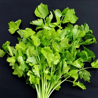 เมล็ดพันธุ์ คื่นฉ่ายจีน หนานหลิง Nan Ling Chinese Celery Seed 2000 เมล็ด คุณภาพดี ของแท้ 100%