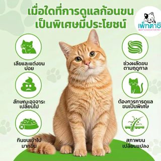 Oimmal Hairball Support ขับก้อนขน ลดการอาเจียน บำรุงขนและผิวหนัง สารสกัดธรรมชาติ ทานง่าย