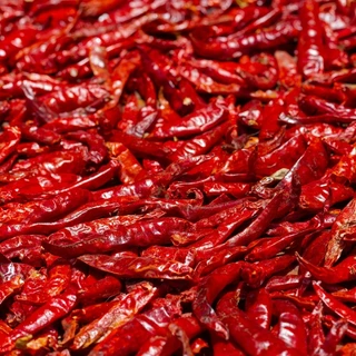 พริกจินดาอบแห้ง(เด็ดก้าน) ตรา ฟาร์มเฮิร์บ Dried Jinda Chilli No Stem FarmHerbs Brand ขนาด 1 กิโลกรัม
