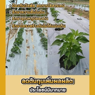 พลาสติกคลุมดิน 1ม.x400หลา(360ม) เจาะรูเดี่ยว 1แถว ผ้ายางคลุมดิน ผ้ายางคลุมวัชพืช ผ้ายางคลุมแปลงผัก