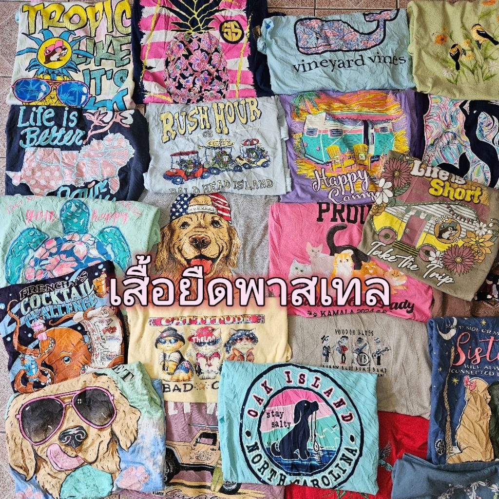 เสื้อยืดพาสเทล (ไลฟ์สด) ✅