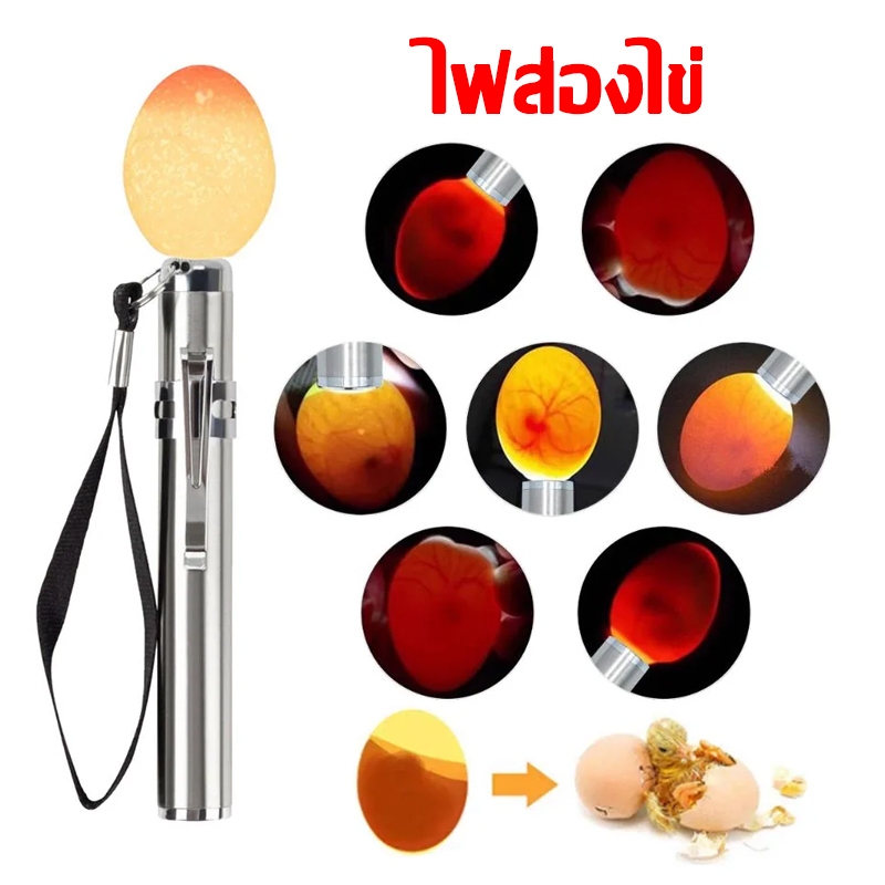 ราคาถูกสุด💥ไฟส่องไข่ ไฟฉาย LED ไฟฉายส่องไข่ อุปกรณ์ฟักไข่ ไฟส่องไข่เชื้อ ไข่ไก่ ไข่เป็ด แบบสายusb ใช้ดี