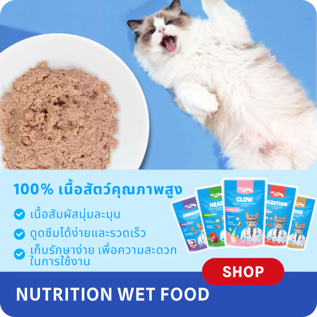 MRVET อาหารเปียกแมว 12ซอง ไม่ใส่สารปรุงแต่ง thumbnail 7