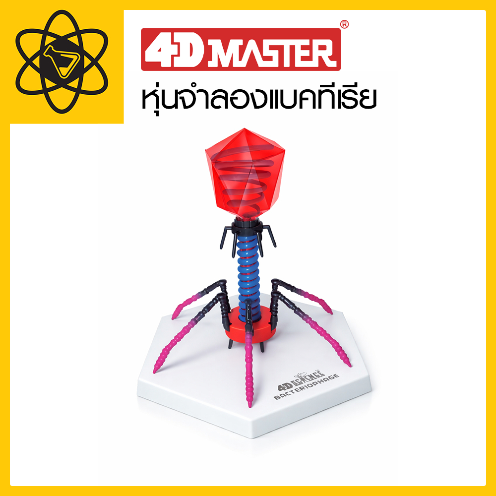 4D Vision หุ่นจำลองแบคทีเรีย