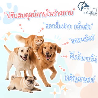 KALAMPA ก้อนสมุนไพรแช่น้ำดื่มสัตว์เลี้ยง กลัมภา สูตรเข้มข้นสำหรับน้องสุนัขตัวใหญ่