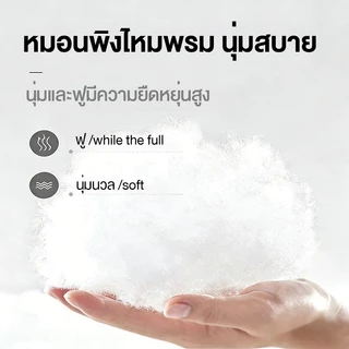 โซฟา โซฟาหลายฟังก์ชัน โซฟาพับเก็บได้ โซฟาเบด รุ่น 2in1 1ที่นั่ง ใช้งานได้หลากหลาย จัดส่งแบบสุญญากาศ