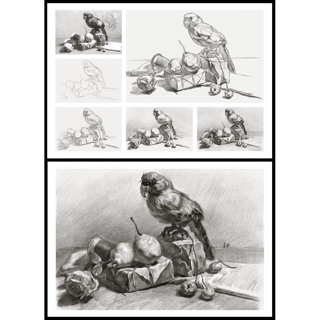 การ์ด Drawing Step by Step ความละเอียดสูงระดับ 4–5