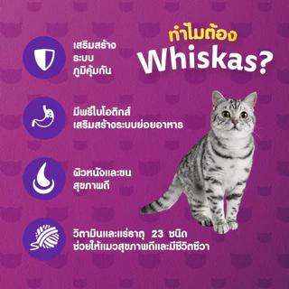 WHISKAS วิสกัส อาหารแมวเม็ด สำหรับแมวโต ขนาด 3 กก. พร้อมส่ง ส่งเร็ว ราคาถูก