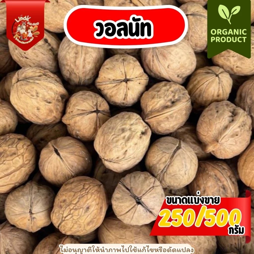 วอลนัท ธรรมชาติ สำหรับ นกทุกสายพันธุ์ หนูแฮมเตอร์ กระรอก และสัตว์ฟันเเทะ (แบ่งขาย250กรัม/500กรัม)