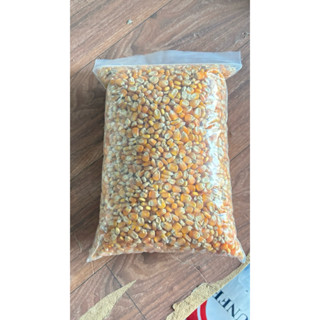 (1kg-5kg)ข้าวโพดเลี้ยงสัตว์ ข้าวโพดบด เม็ดข้าวโพด เมล็ดข้าวโ…